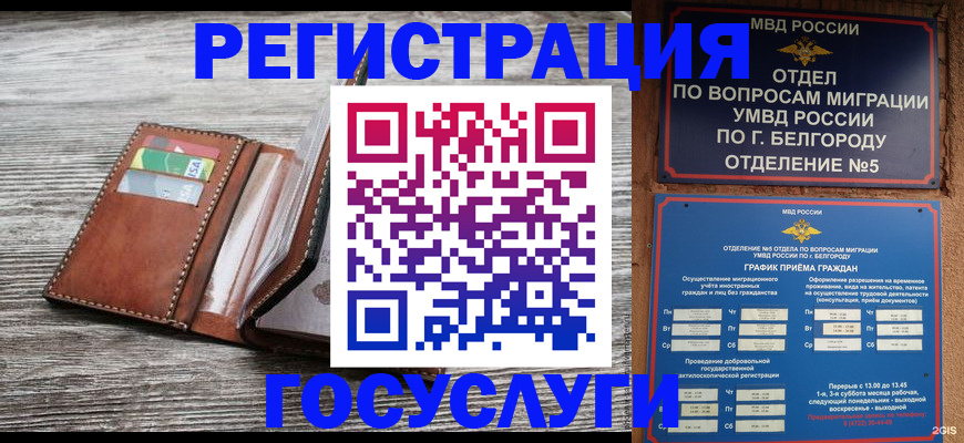 временная регистрация гарантия в Котовске
